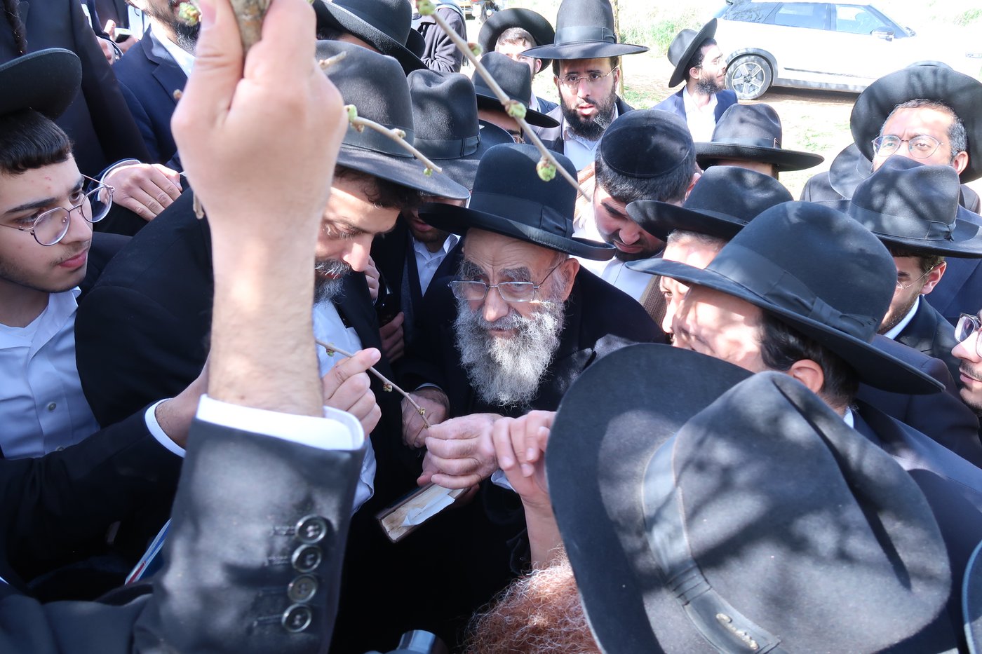 הגאון רבי משה צדקה בברכת האילנות