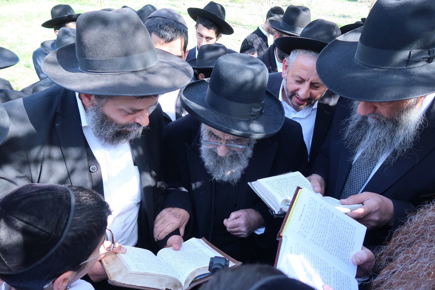 הגאון רבי משה צדקה בברכת האילנות