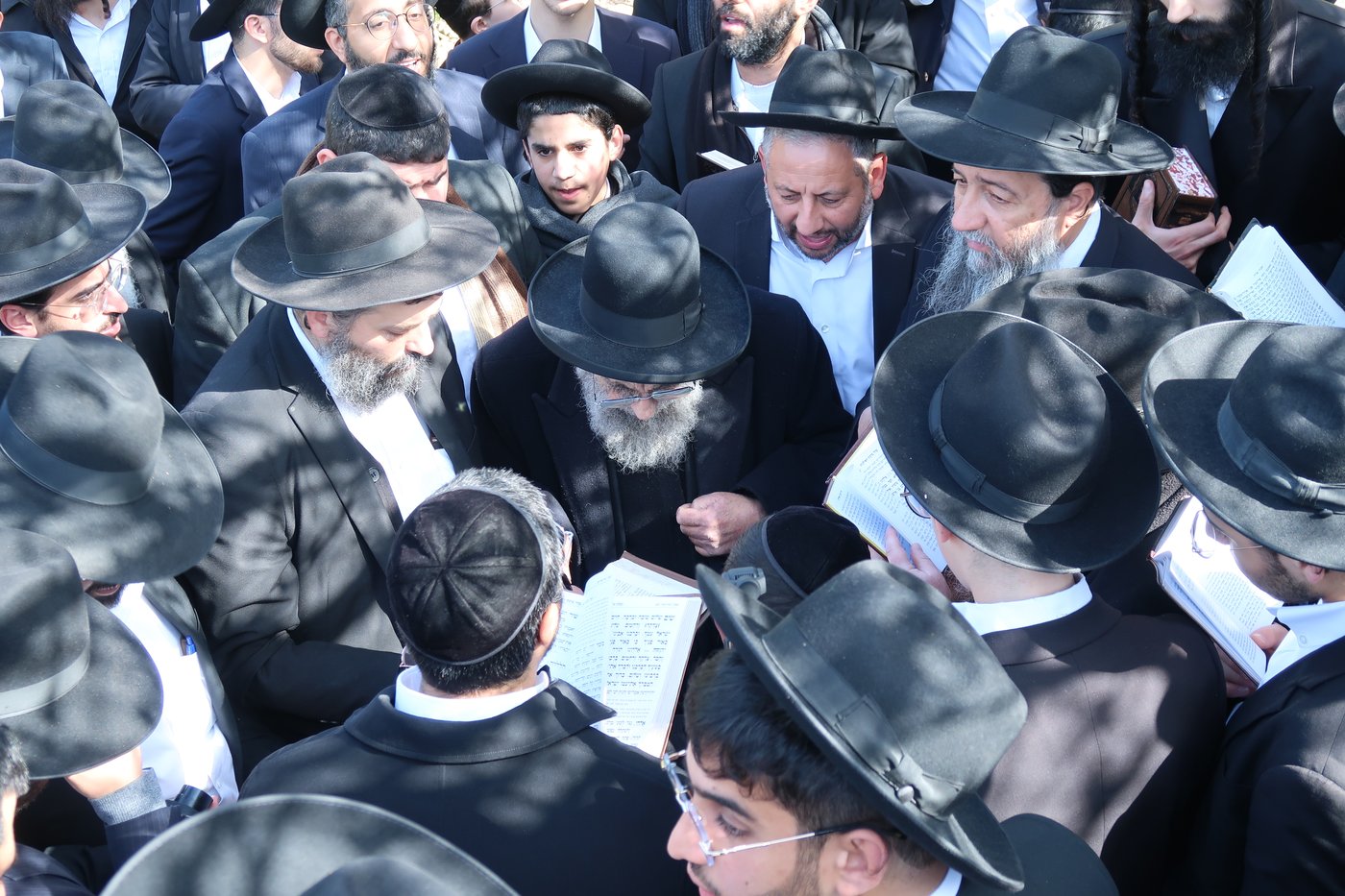 הגאון רבי משה צדקה בברכת האילנות