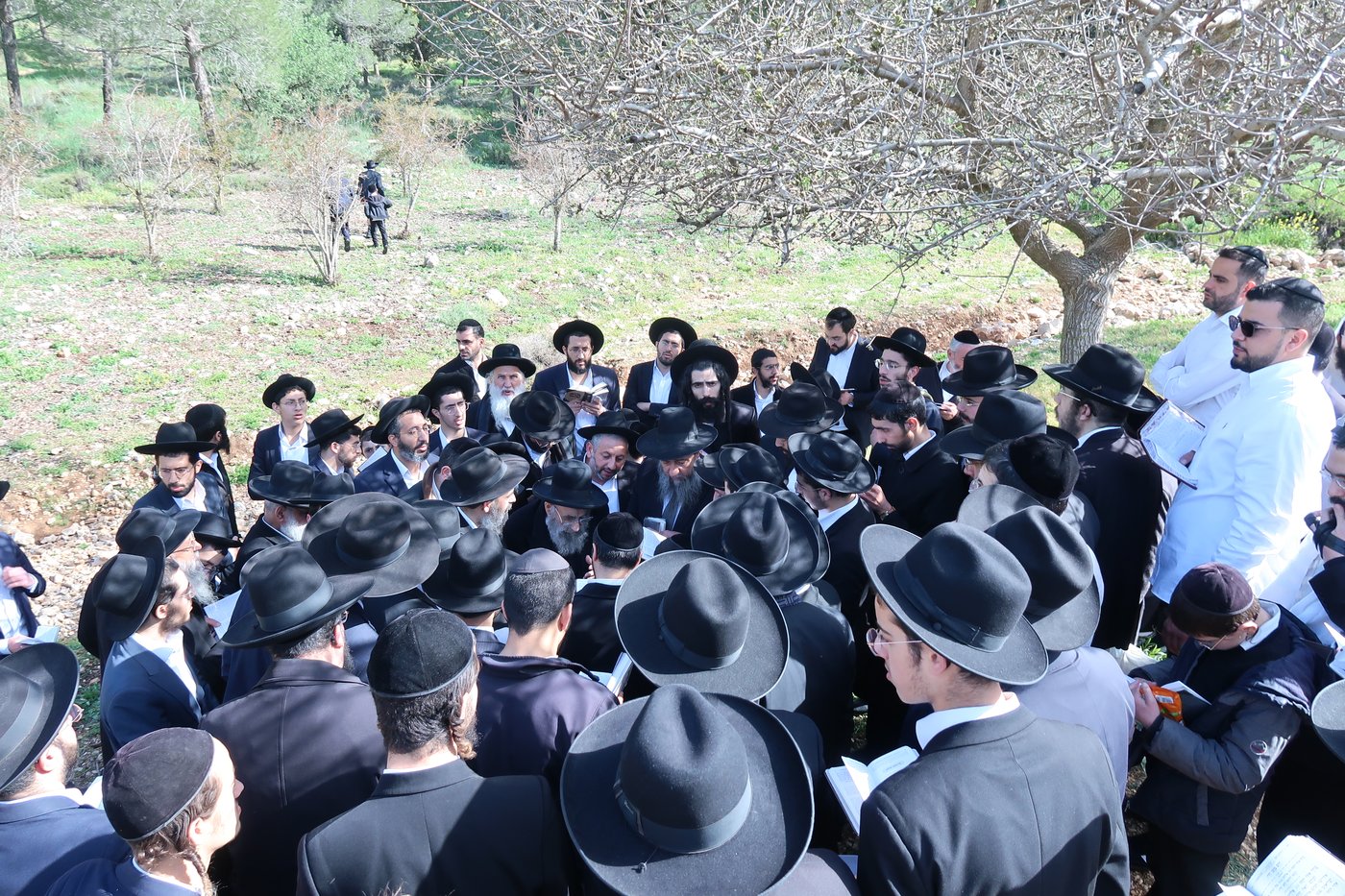 הגאון רבי משה צדקה בברכת האילנות