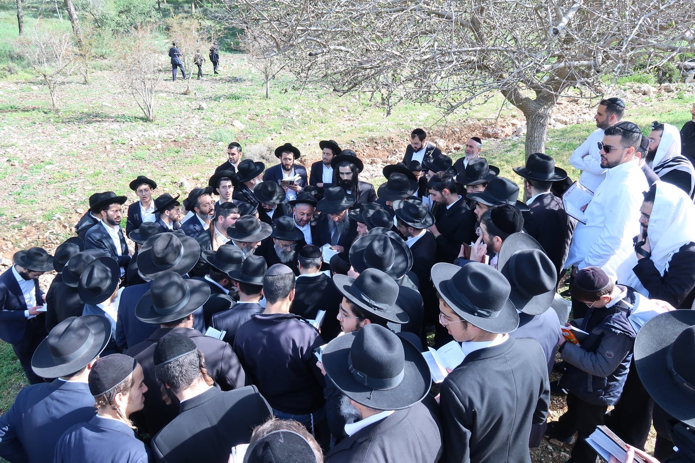 הגאון רבי משה צדקה בברכת האילנות