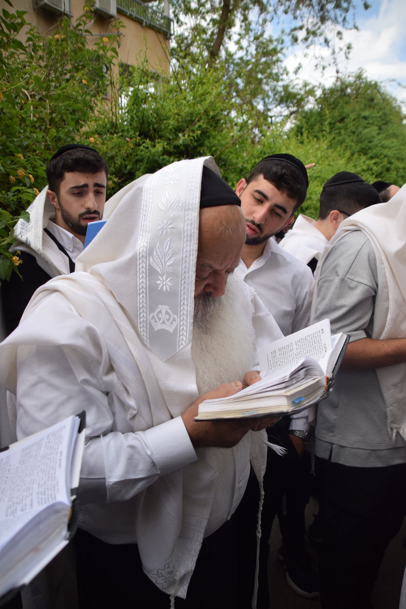 הגאון רבי דניאל זר בברכת האילנות