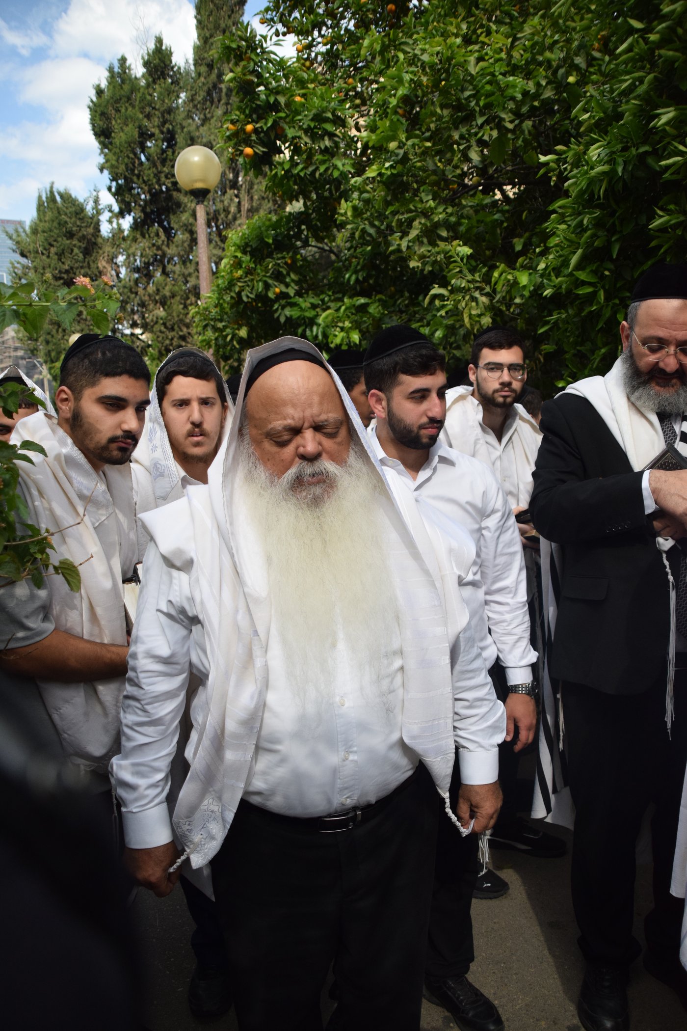 הגאון רבי דניאל זר בברכת האילנות