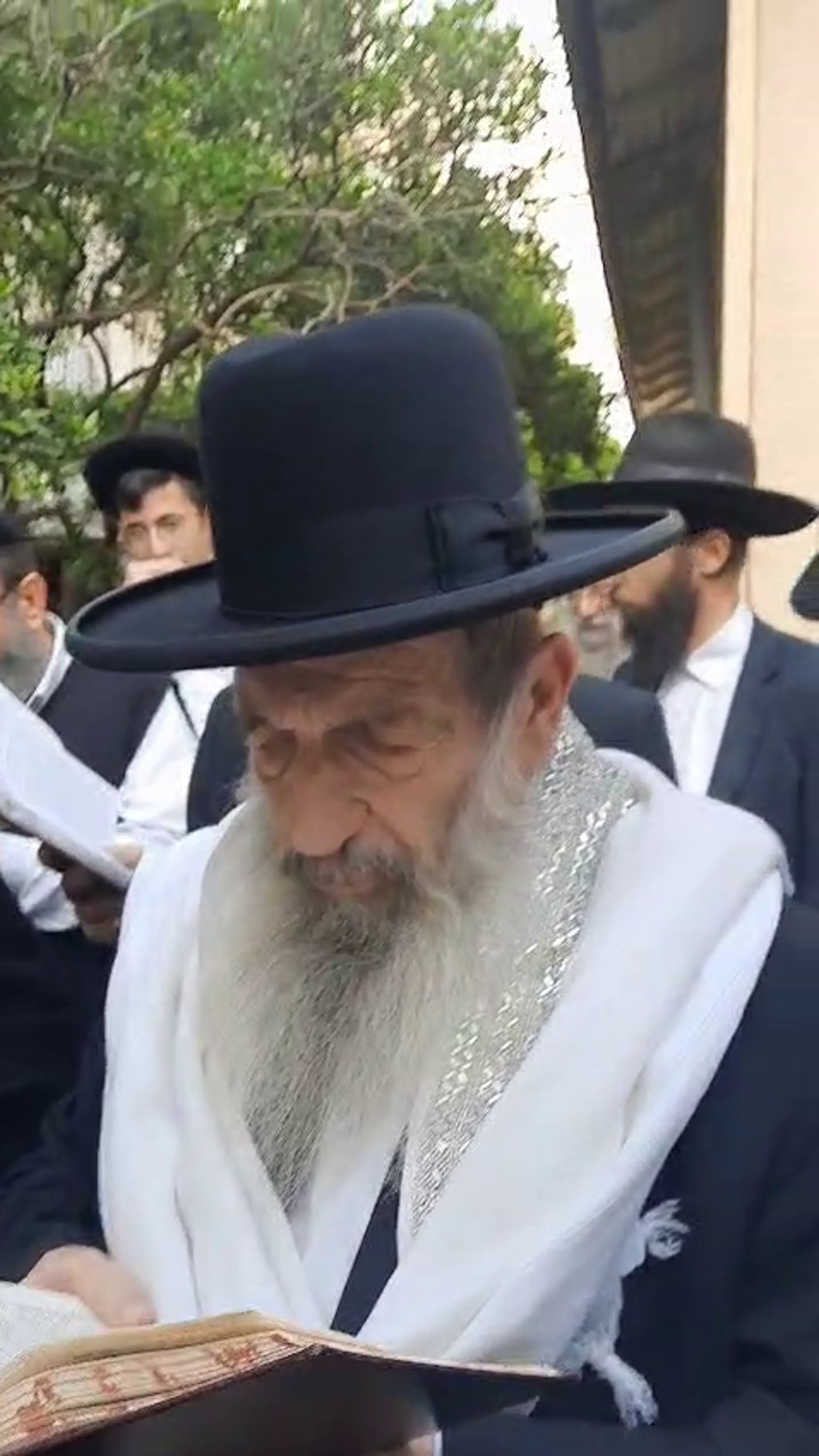 חכם ניסים בן שמעון בברכת האילנות