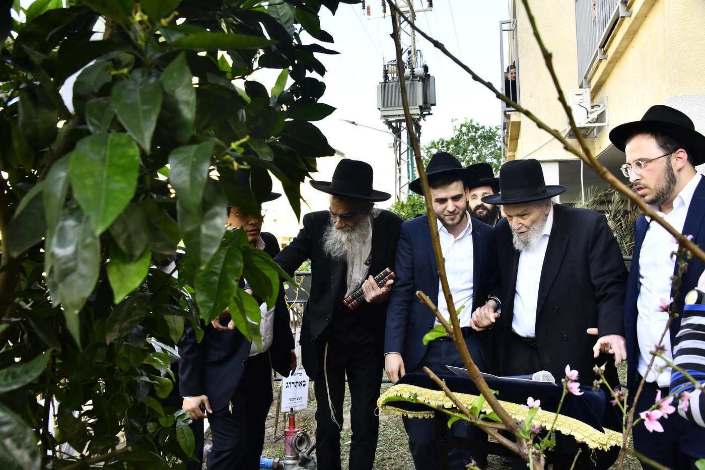 הגרמ"ה הירש בברכת האילנות