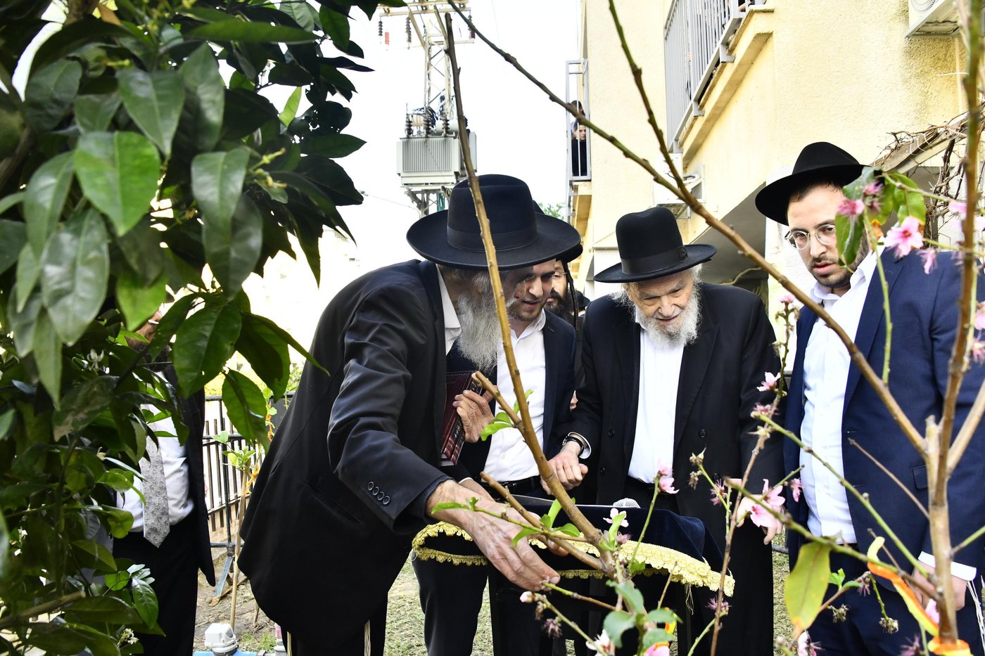 הגרמ"ה הירש בברכת האילנות