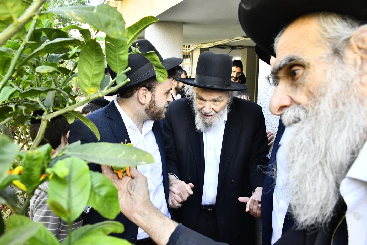 הגרמ"ה הירש בברכת האילנות