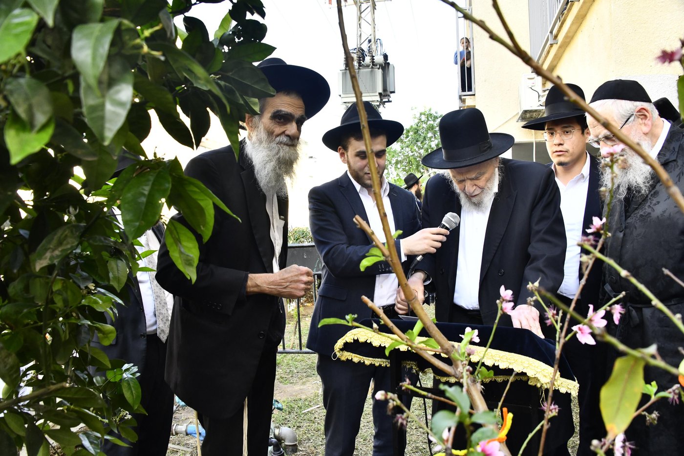 הגרמ"ה הירש בברכת האילנות