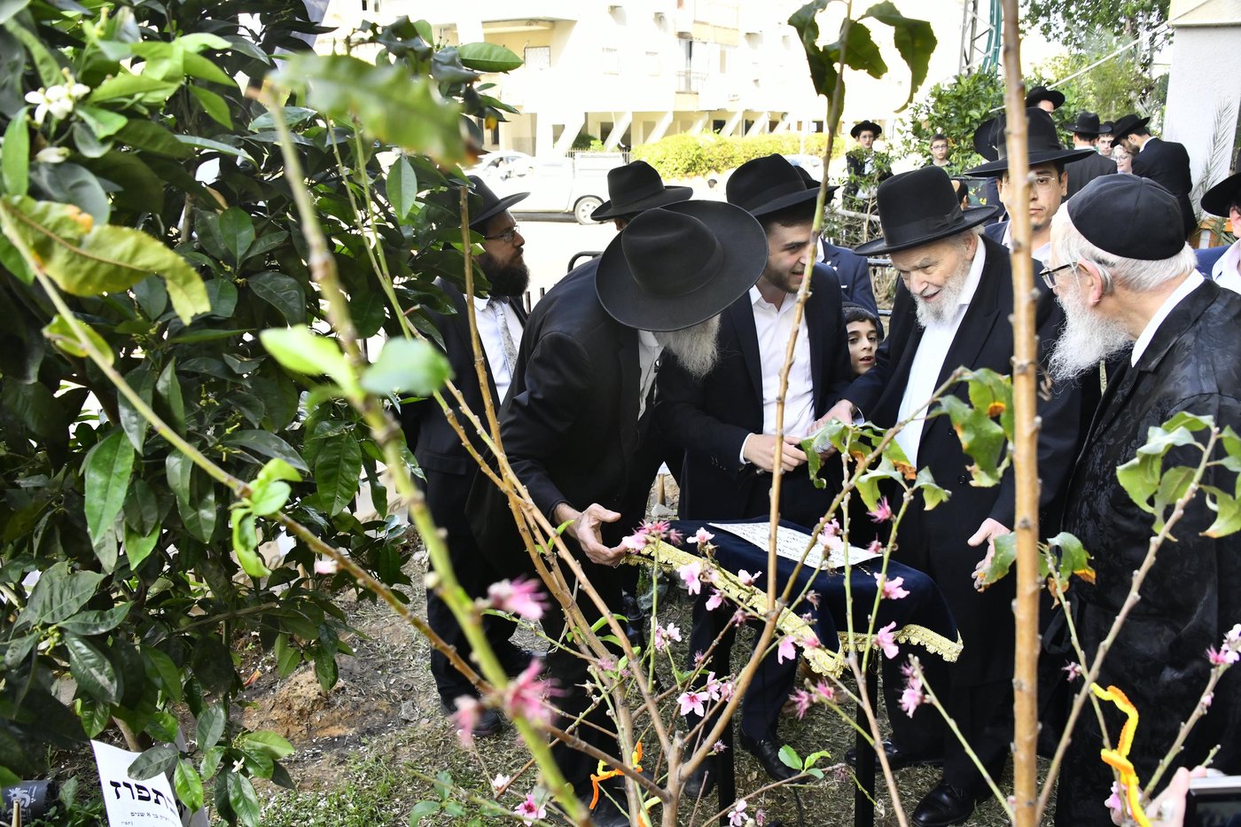 הגרמ"ה הירש בברכת האילנות