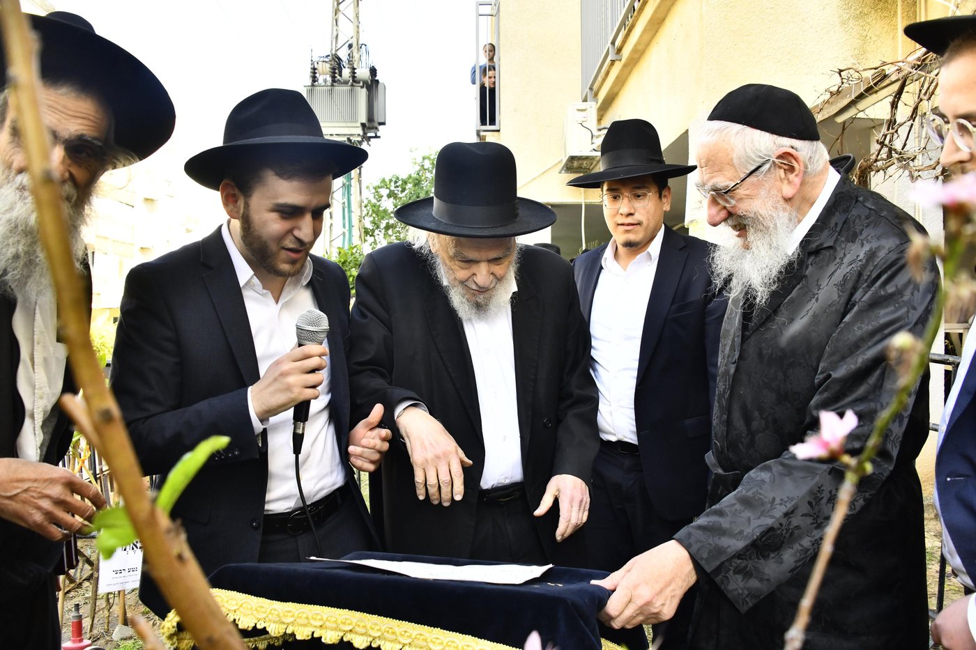 הגרמ"ה הירש בברכת האילנות