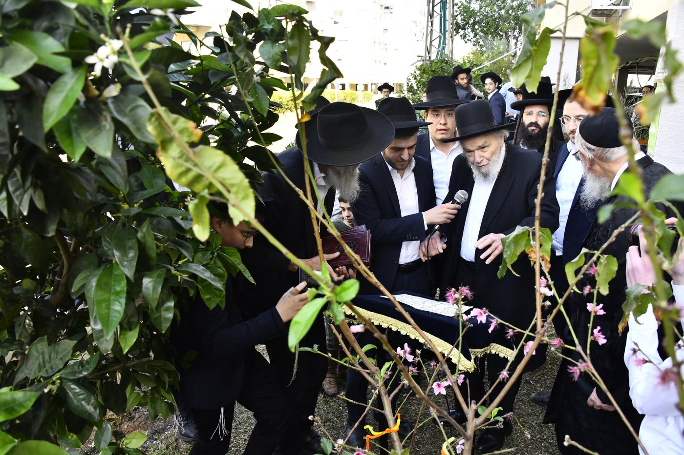 הגרמ"ה הירש בברכת האילנות