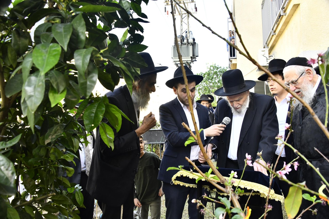 הגרמ"ה הירש בברכת האילנות