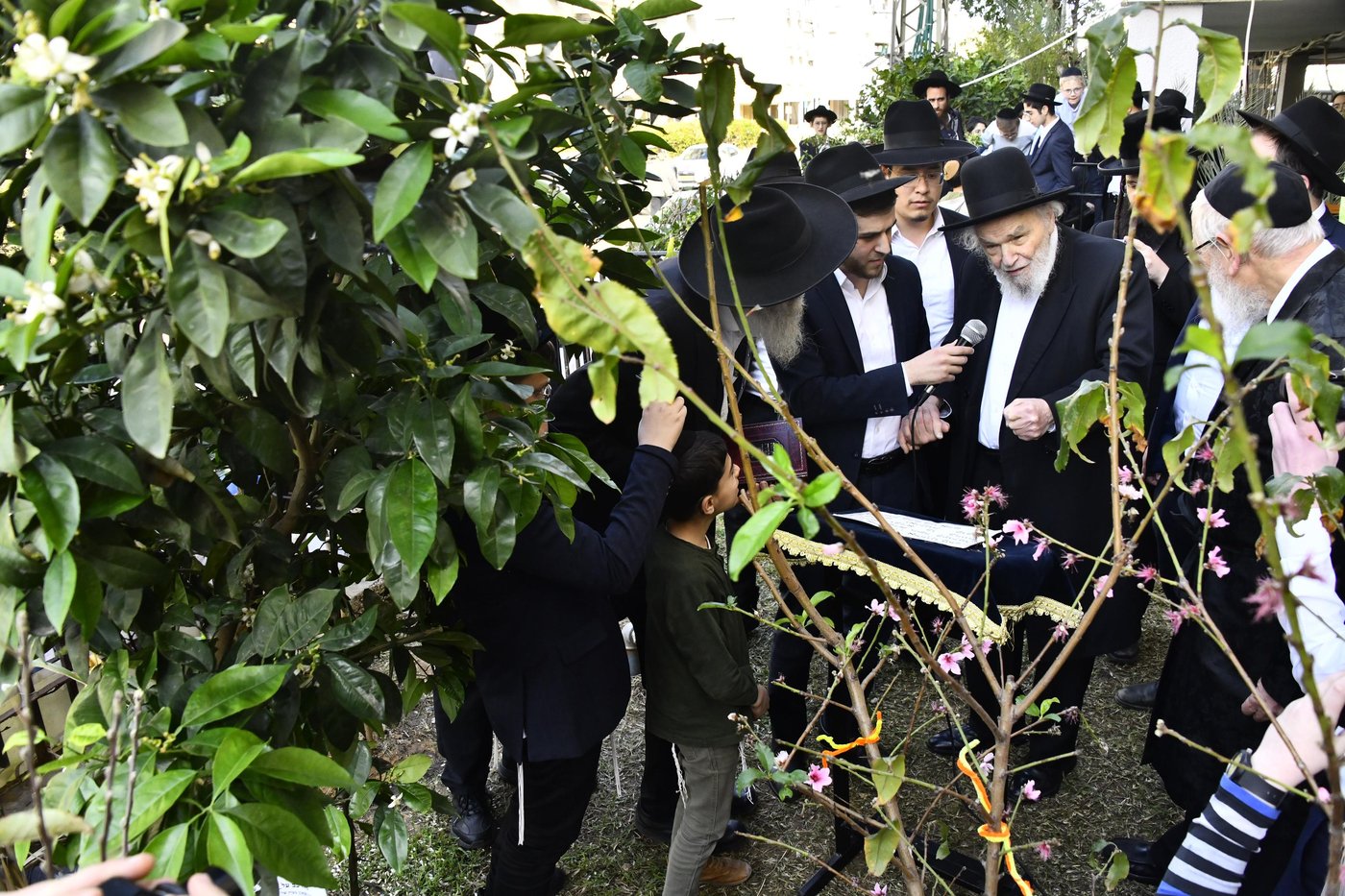 הגרמ"ה הירש בברכת האילנות