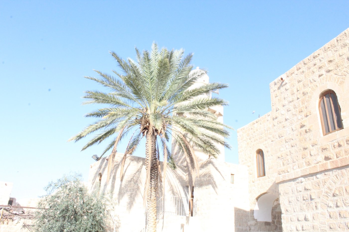 נבי מוסא במדבר יהודה - בסיור שאורגן בידי כותב השורות ישראל שפירא לפני מספר שנים. את הסיור העביר מורה הדרך שניר מנחם