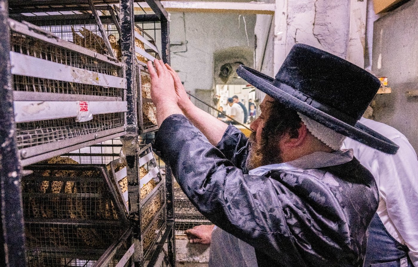 האדמו"ר מקרעטשניף כפר עטה באפיית מצות