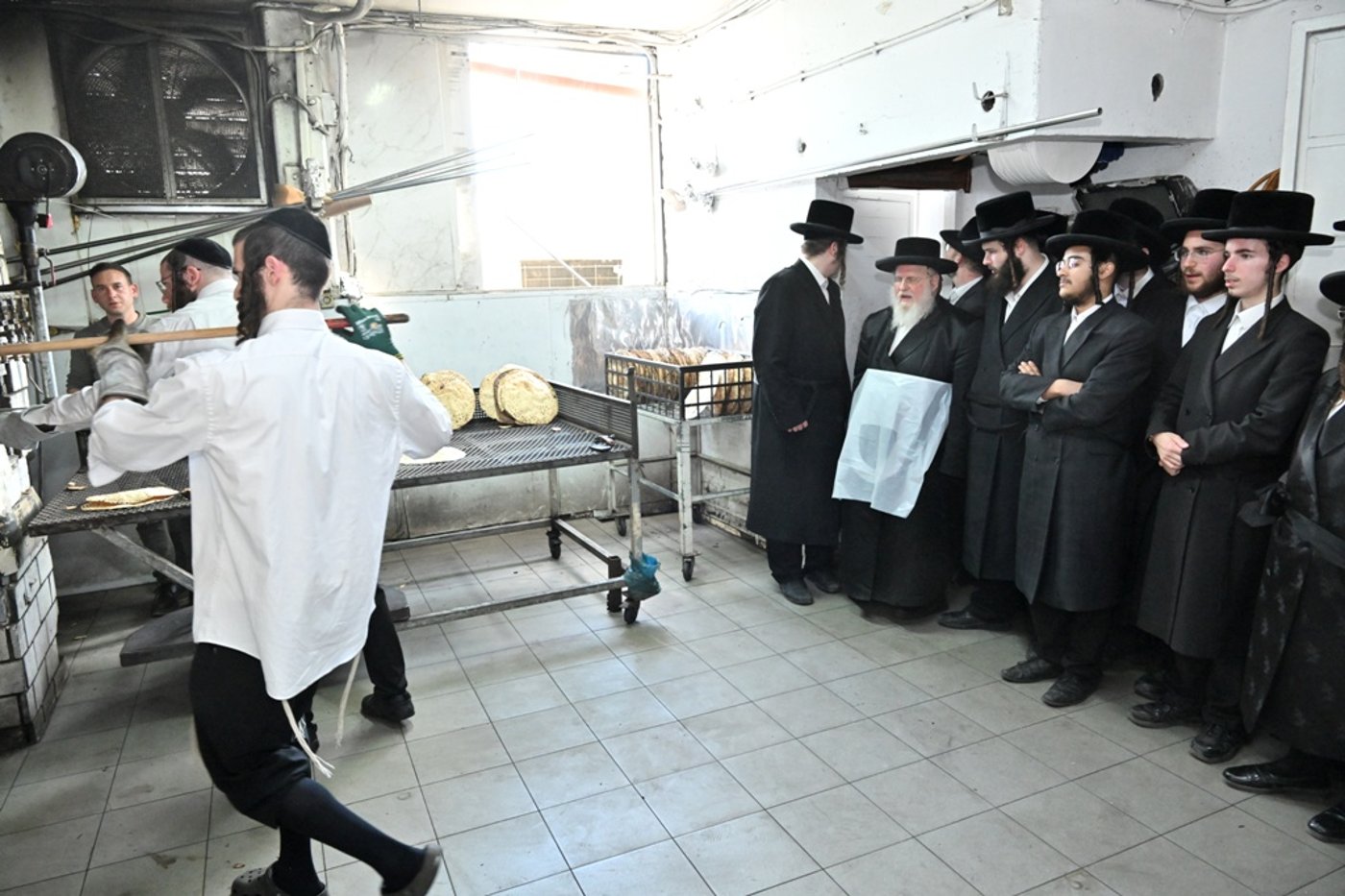 האדמו"ר מסאסוב באפיית מצות