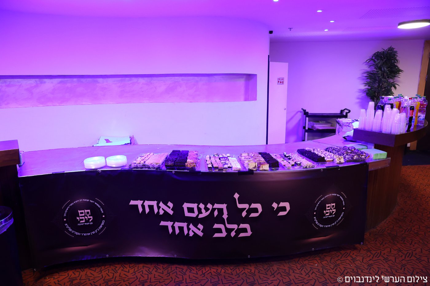 הכינוס באשקלון