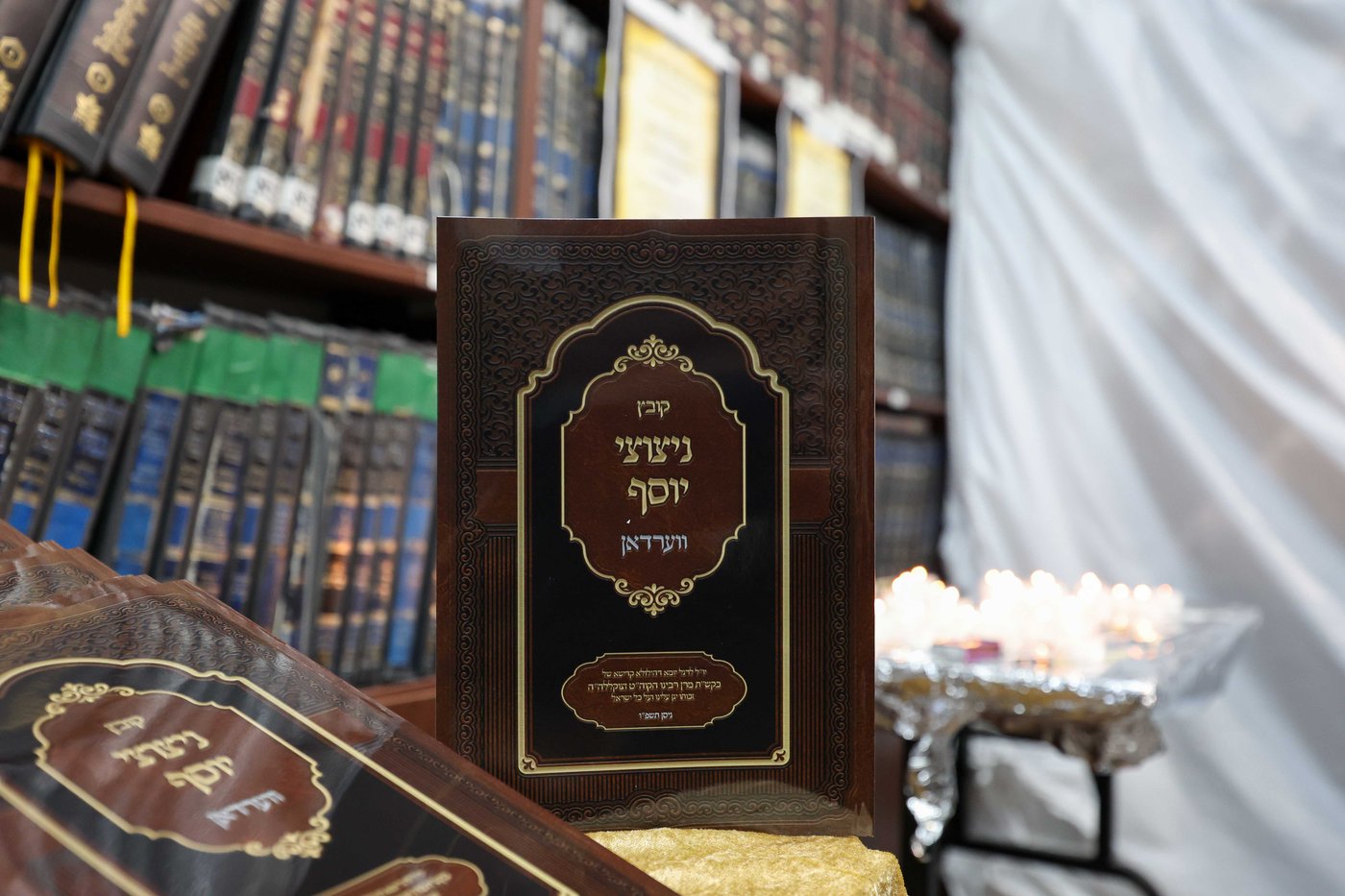 הילולא קדישא בווארדאן