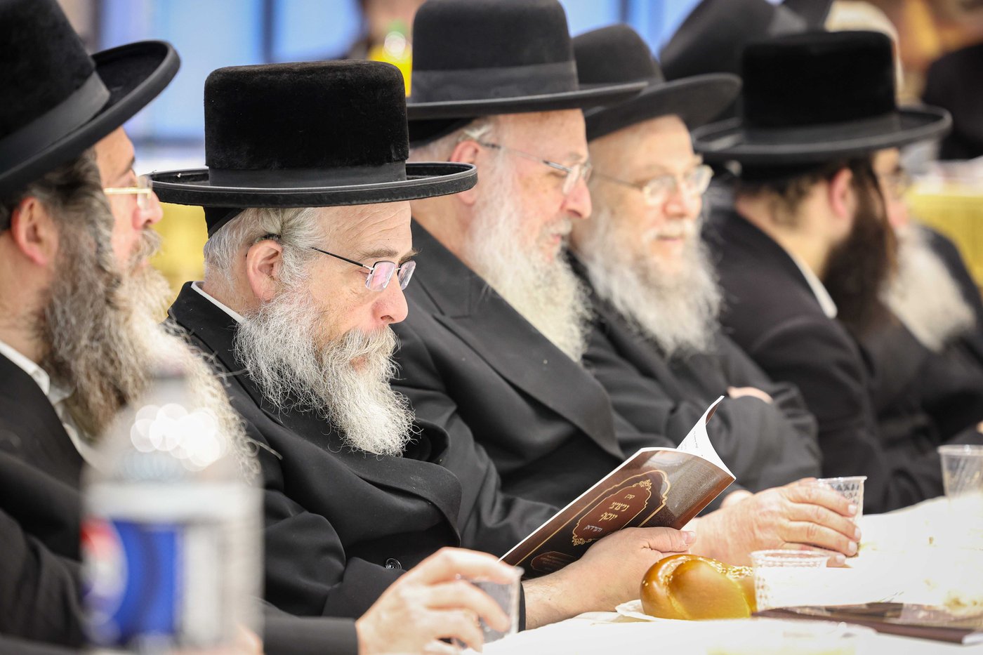 הילולא קדישא בווארדאן