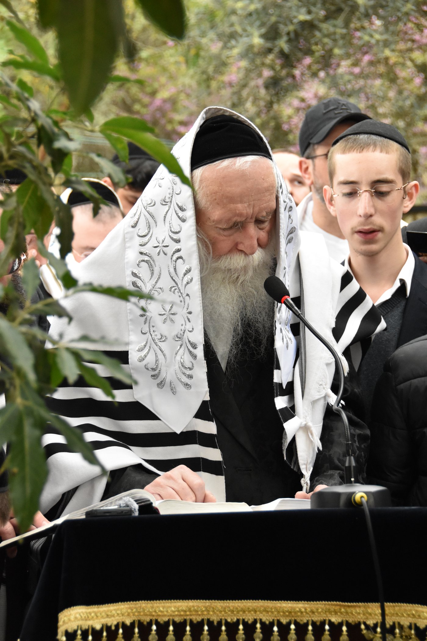 הגרי"ד גרוסמן בברכת האילנות