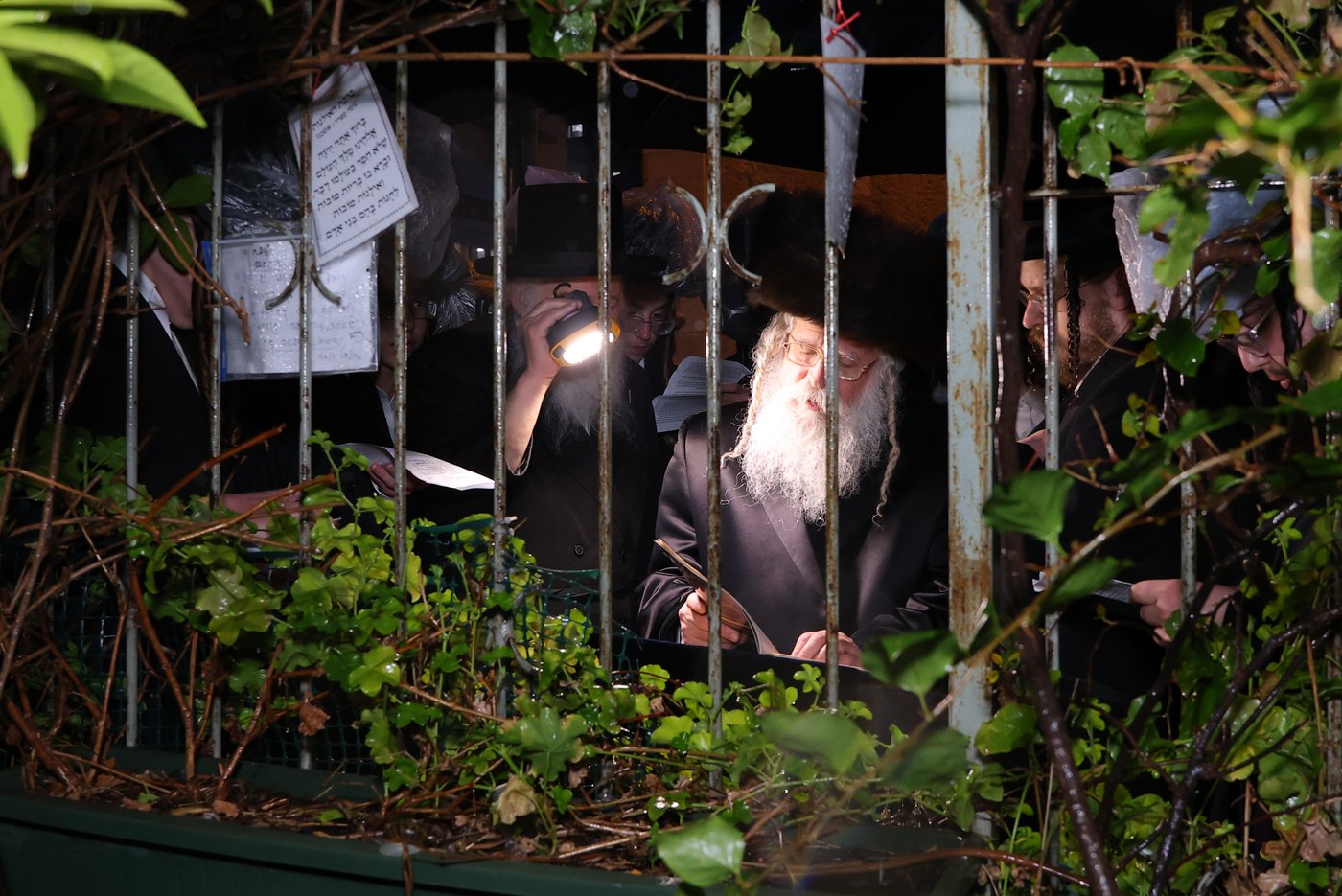 האדמו"ר מנדבורנה ירושלים בברכת האילנות