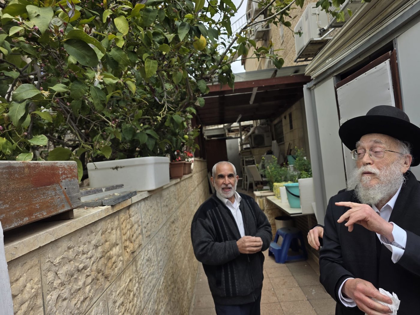 הגרב"ד אלישיב בברכת האילנות