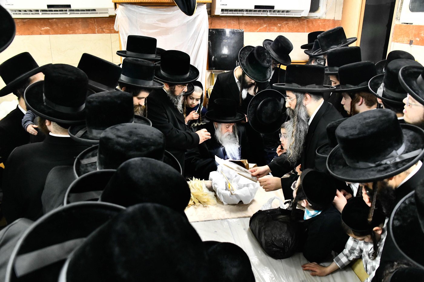 האדמו"ר ממכנובקא בעלזא בבדיקת חמץ