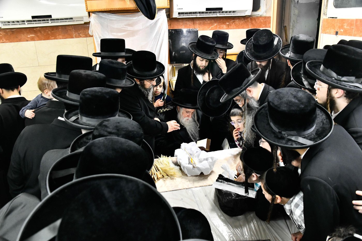 האדמו"ר ממכנובקא בעלזא בבדיקת חמץ