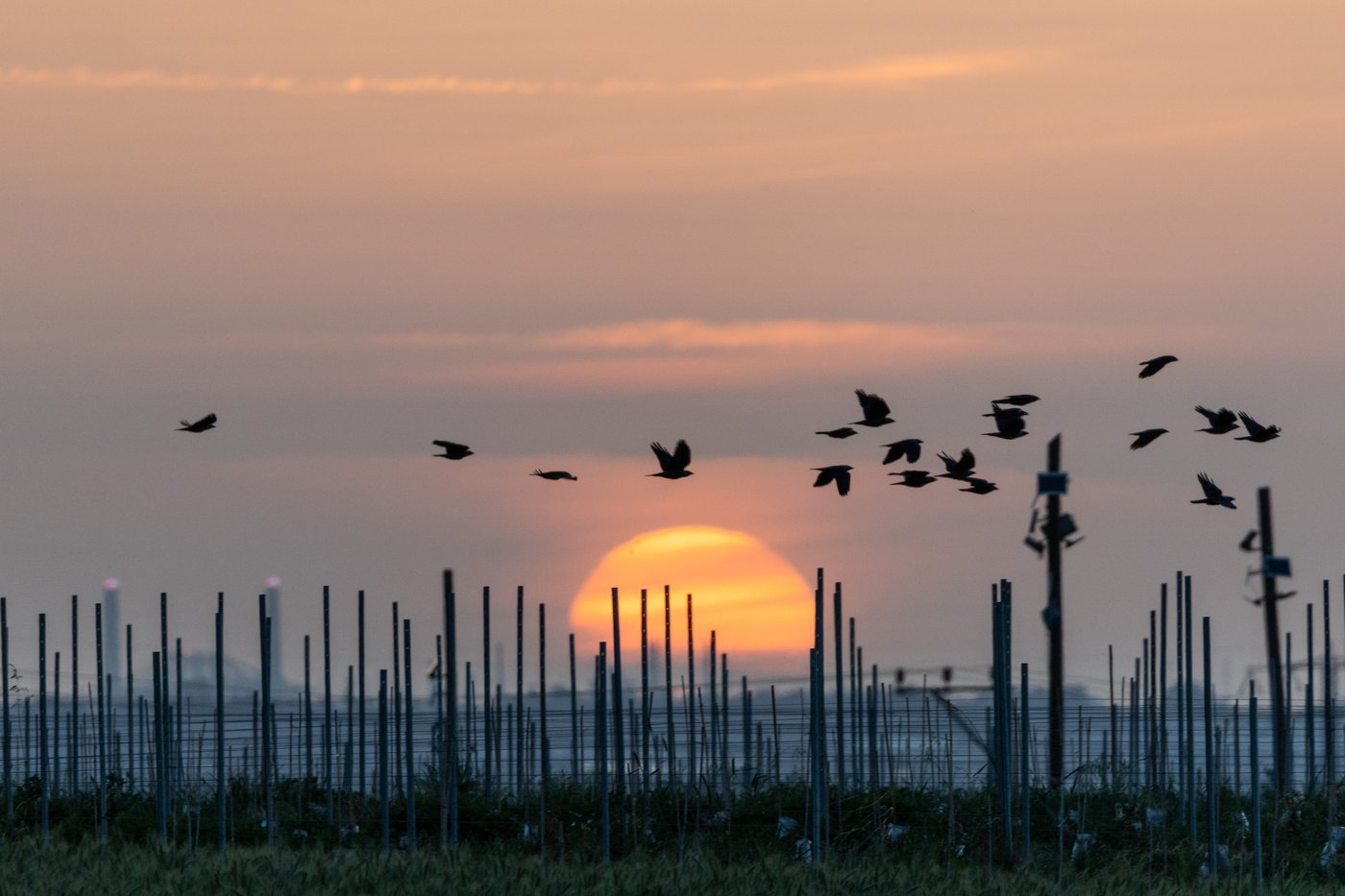 האובך ישקע, הגשם יחזור וגם יהיה קר | התחזית המלאה
