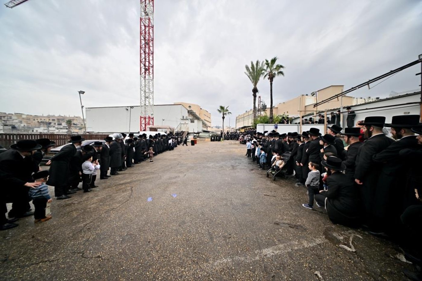 חג הפסח בחצה"ק ויזניץ