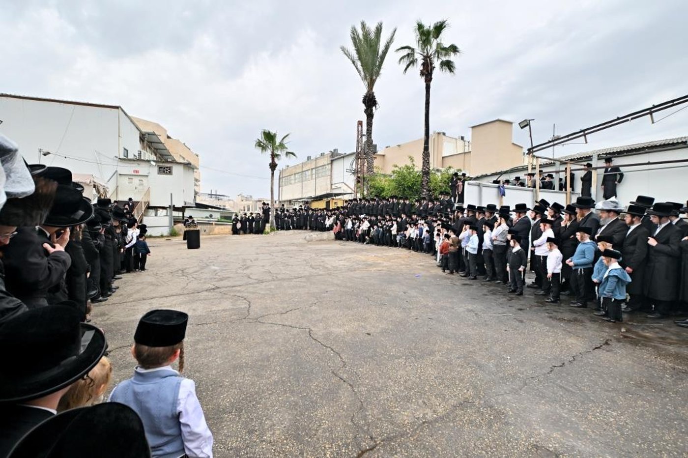 חג הפסח בחצה"ק ויזניץ