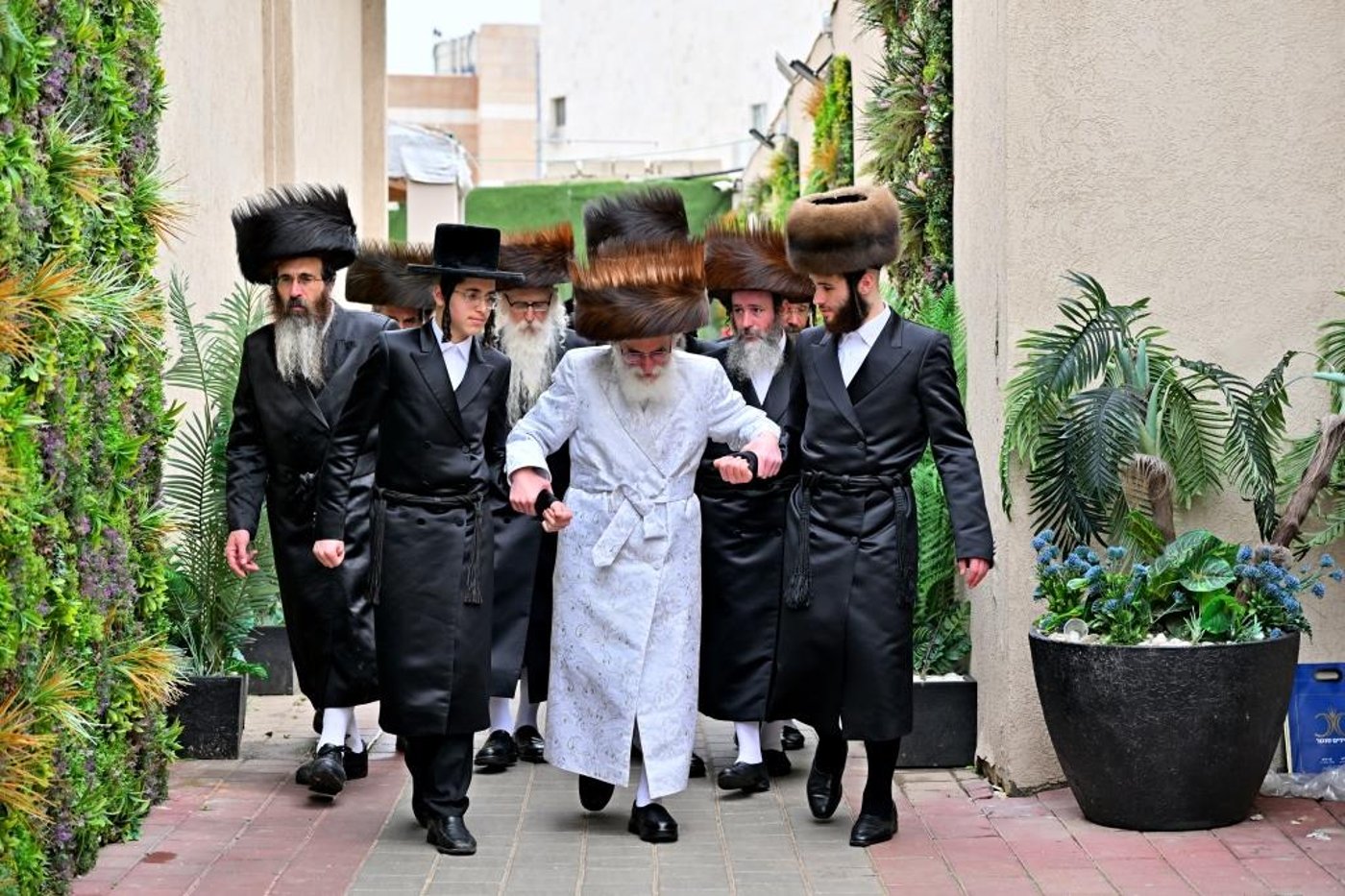 חג הפסח בחצה"ק ויזניץ