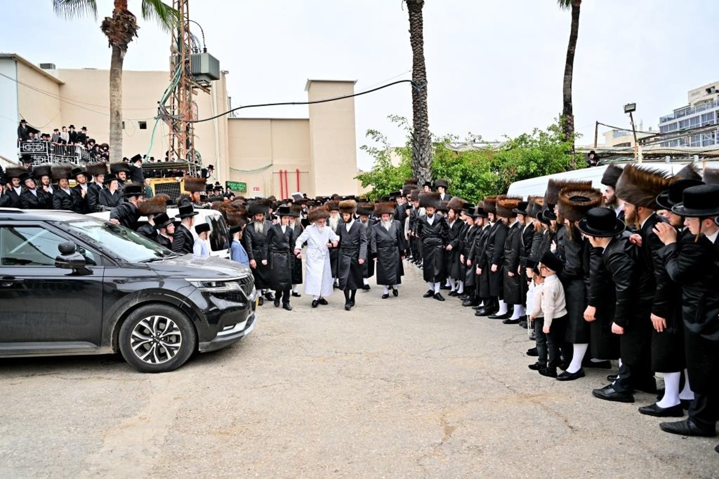 חג הפסח בחצה"ק ויזניץ