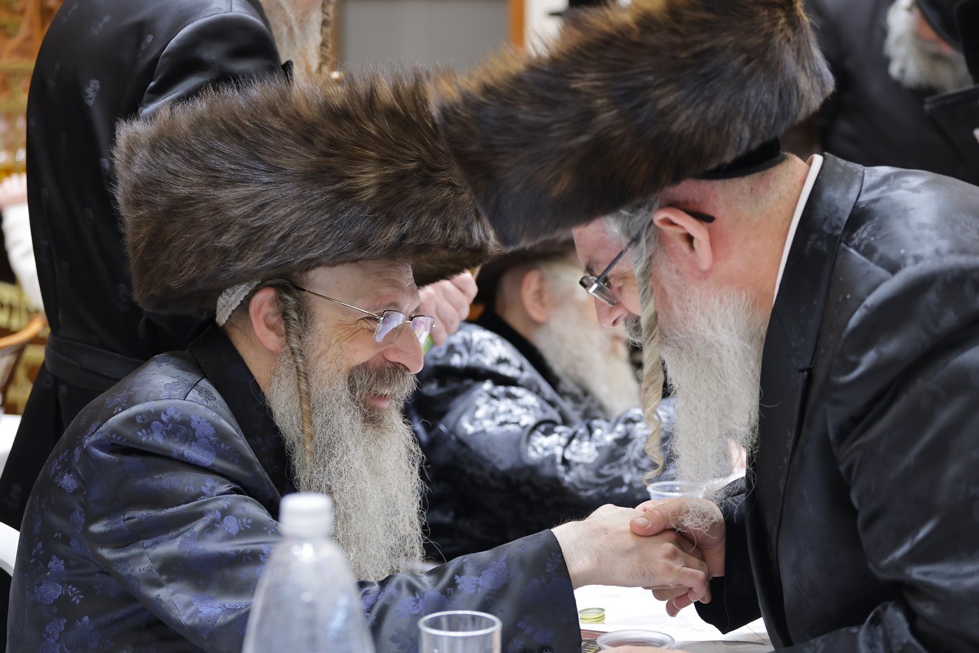 שמחת הבר מצווה בחצרות נדבורנה חיפה - האלמין