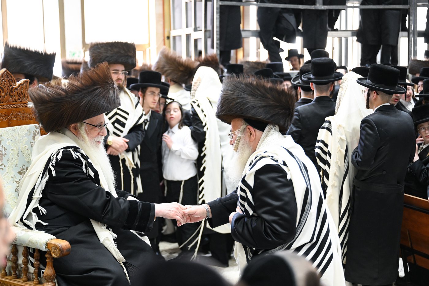 הקבלת פני רבו ברגל בחצה"ק צאנז