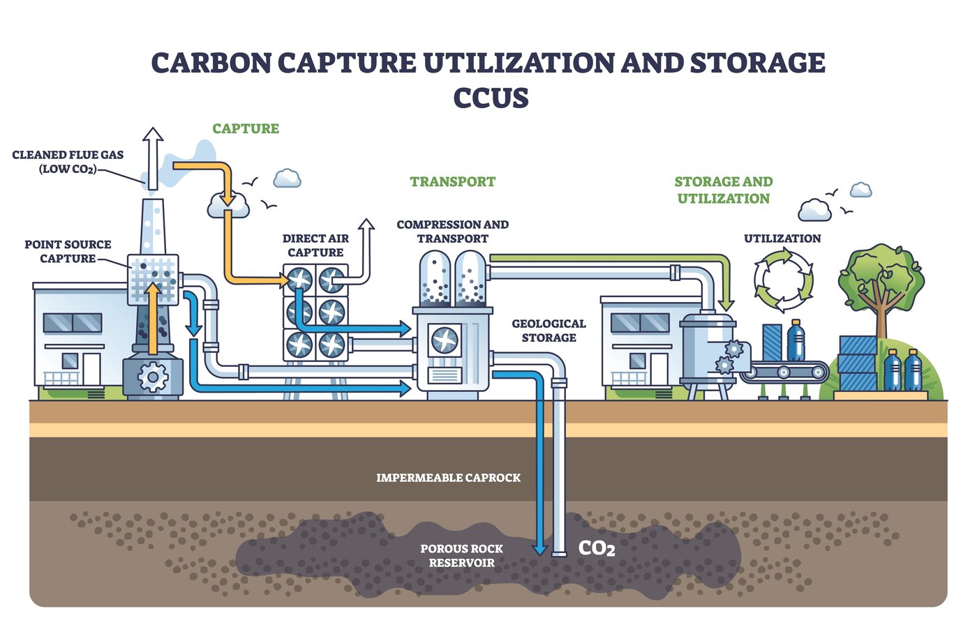הדמייה של הליך לכידת פחמן