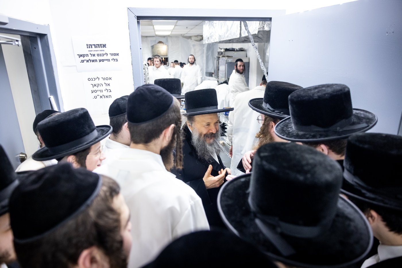 חג הפסח בחצה"ק באבוב 45