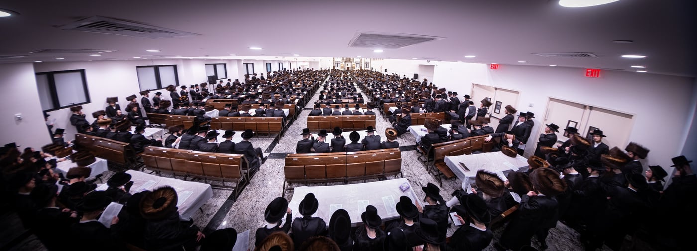 חג הפסח בחצה"ק באבוב 45