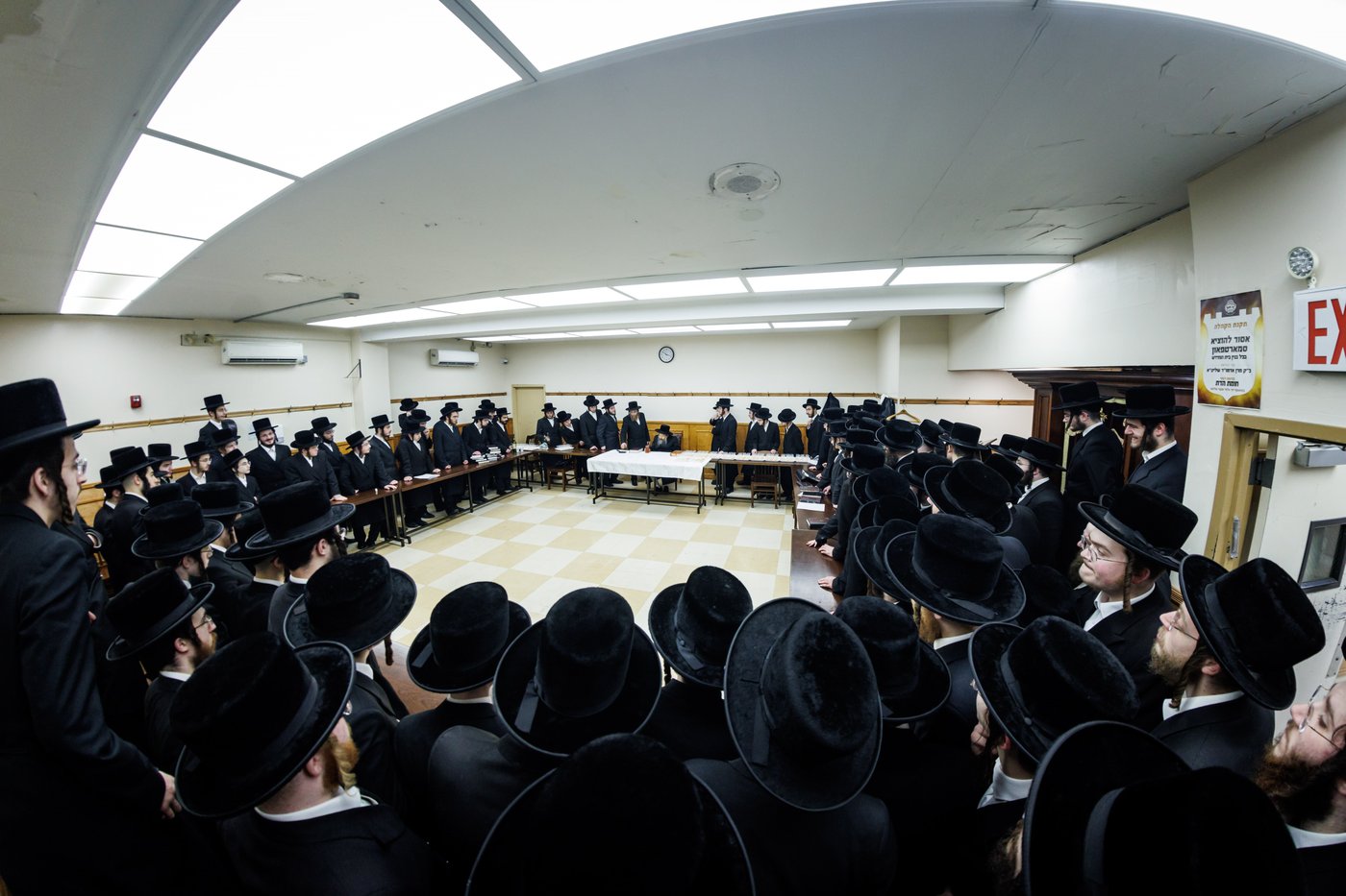 חג הפסח בחצה"ק באבוב 45