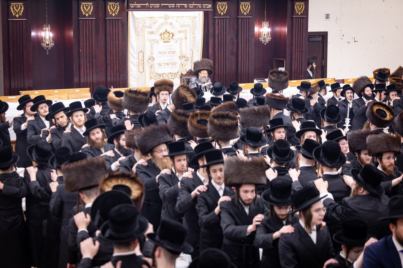 חג הפסח בחצה"ק באבוב 45