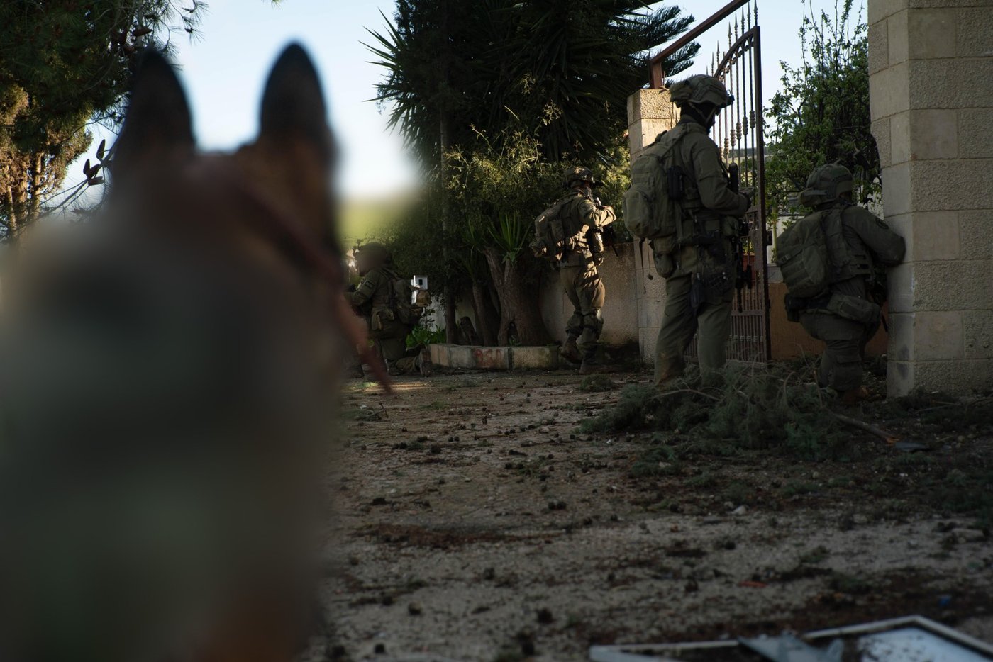 פעילות כוחות אוגדה 98 במרחב בינת ג'בייל