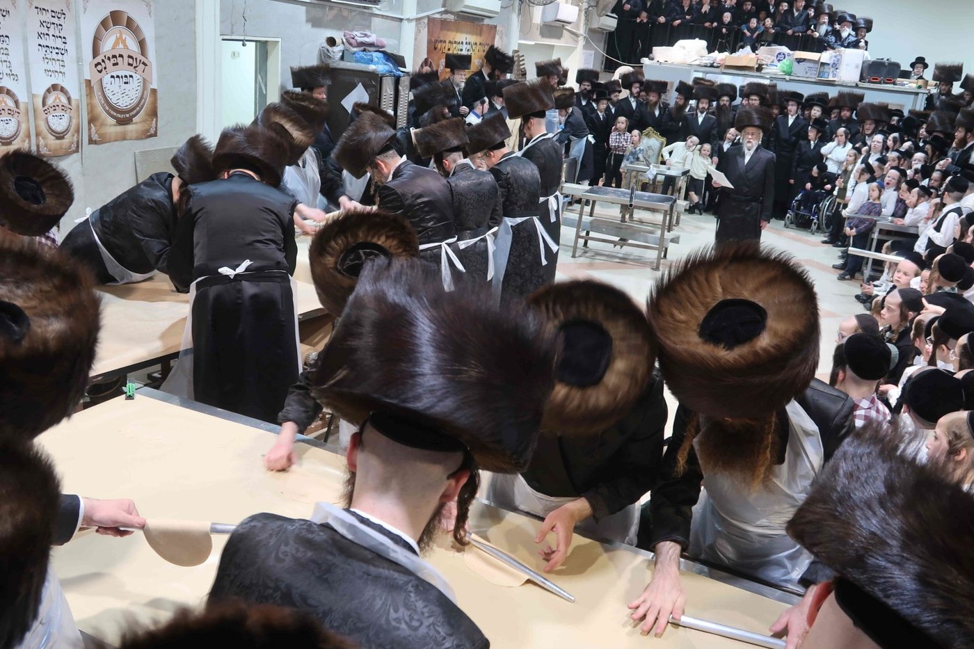 חג הפסח בחצה"ק סערט ויז'ניץ