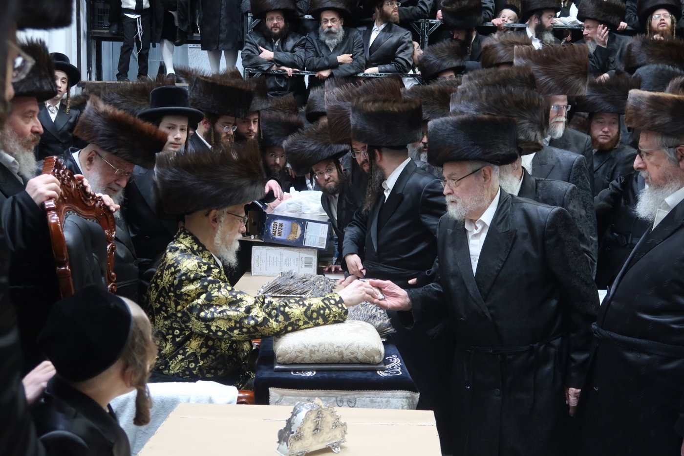 חג הפסח בחצה"ק סערט ויז'ניץ