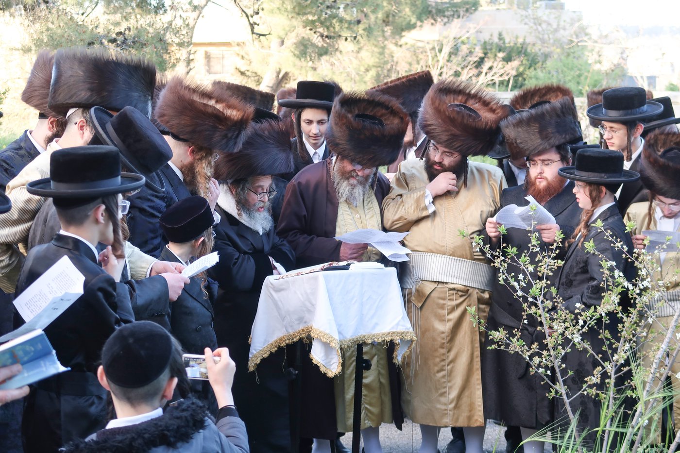 חג הפסח בחצה"ק קרעטשניף סיגעט