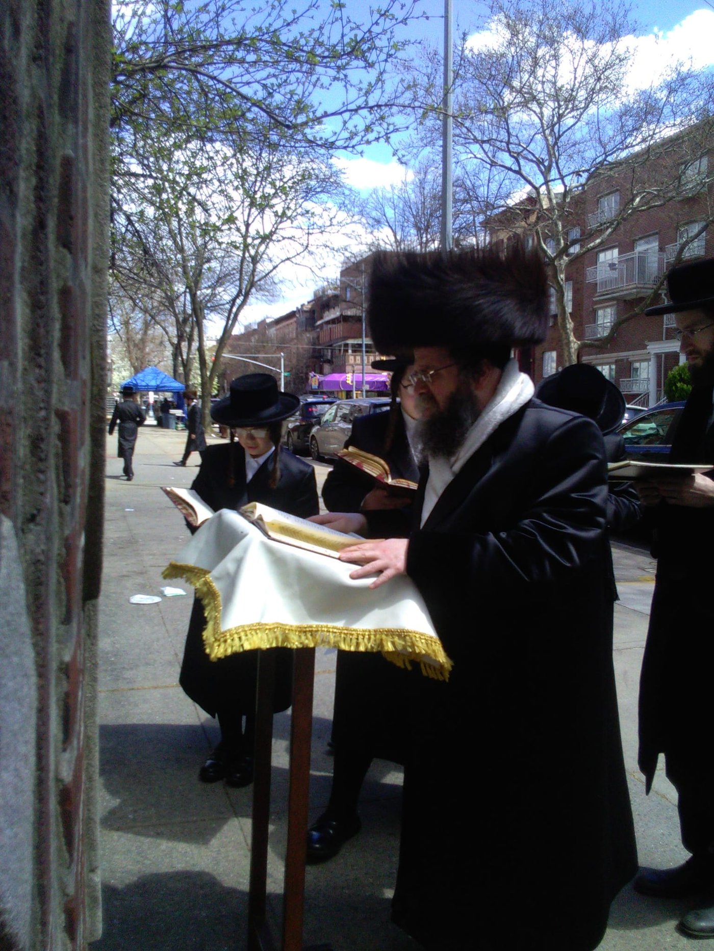 האדמו"ר מקרעטשניף סיגעט ווילאמסבורג בברכת האילנות