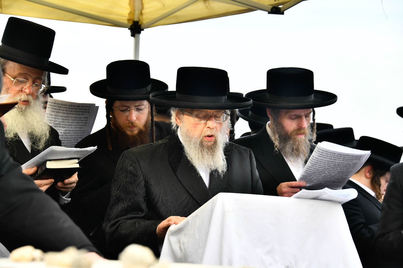 הילולא קדישא בפינסק קארלין