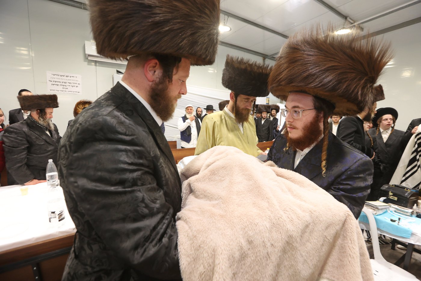 שמחת הברית בשאץ דרהביטש