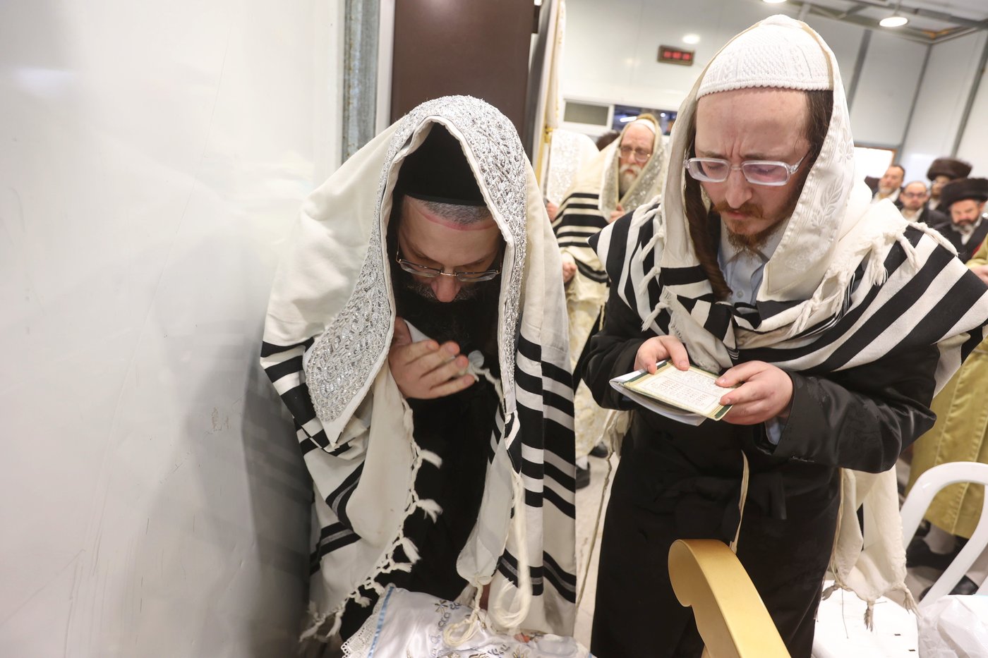 שמחת הברית בשאץ דרהביטש