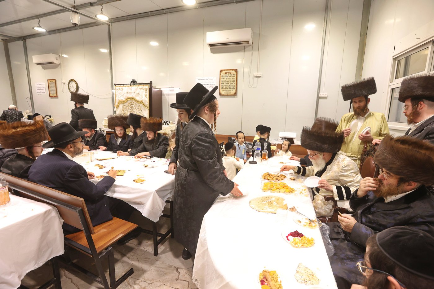 שמחת הברית בשאץ דרהביטש