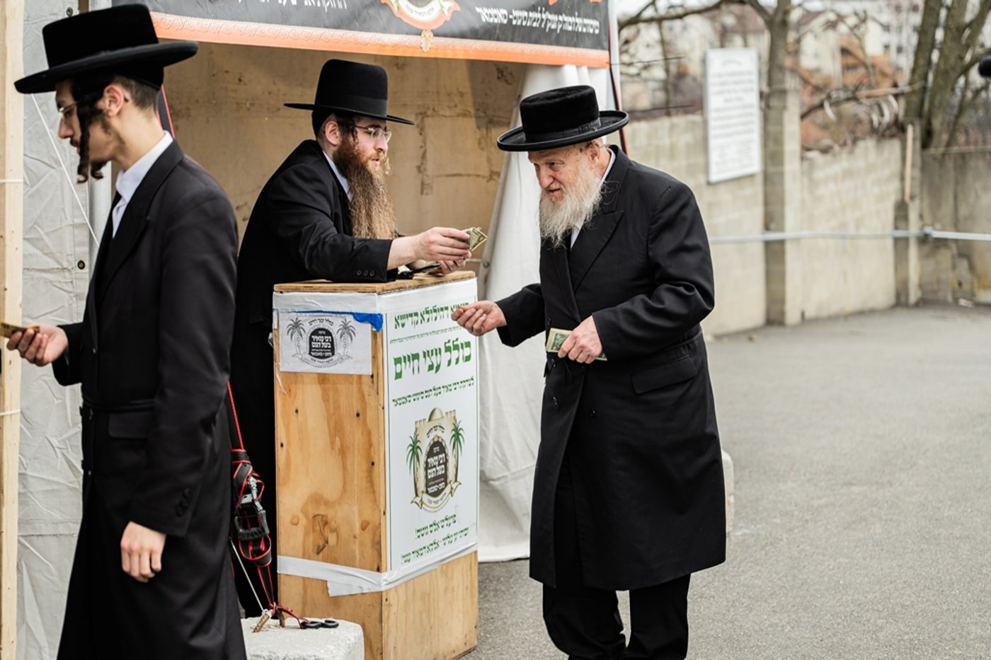 המונים בעליה לציון ביומא דהילולא